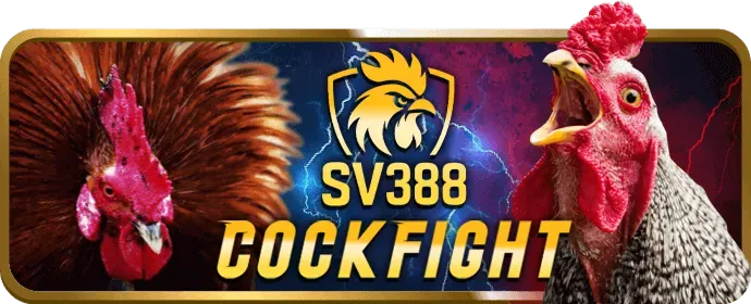 Người chơi ăn mừng chiến thắng Jackpot lớn tại ip88 link